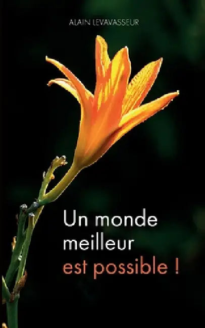 Un monde meilleur est possible ! by Alain Levavasseur