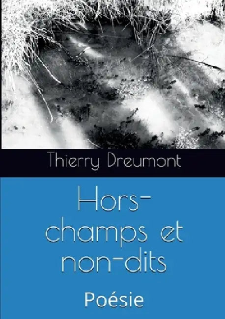Hors-champs et non-dits by Thierry Dreumont