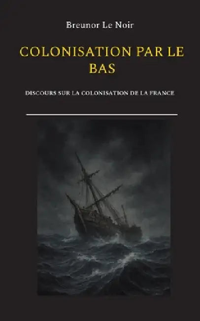 Colonisation par le bas: Discours sur la colonisation de la France by Breunor Le Noir