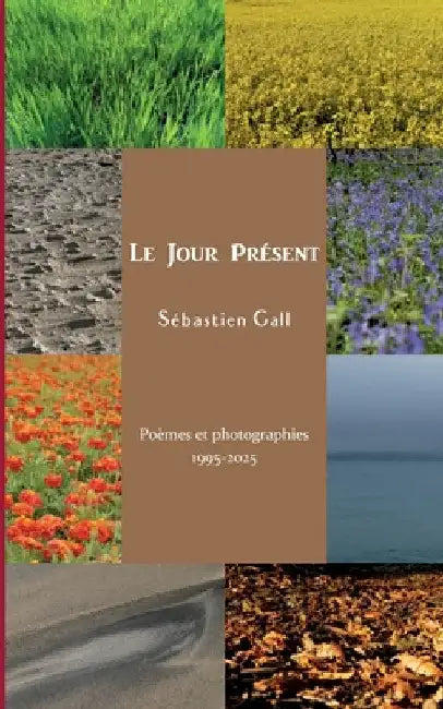 Le Jour Présent by Gall, Sébastien