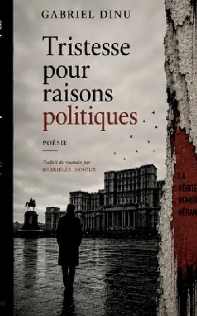 Tristesse pour raisons politiques by Gabriel Dinu