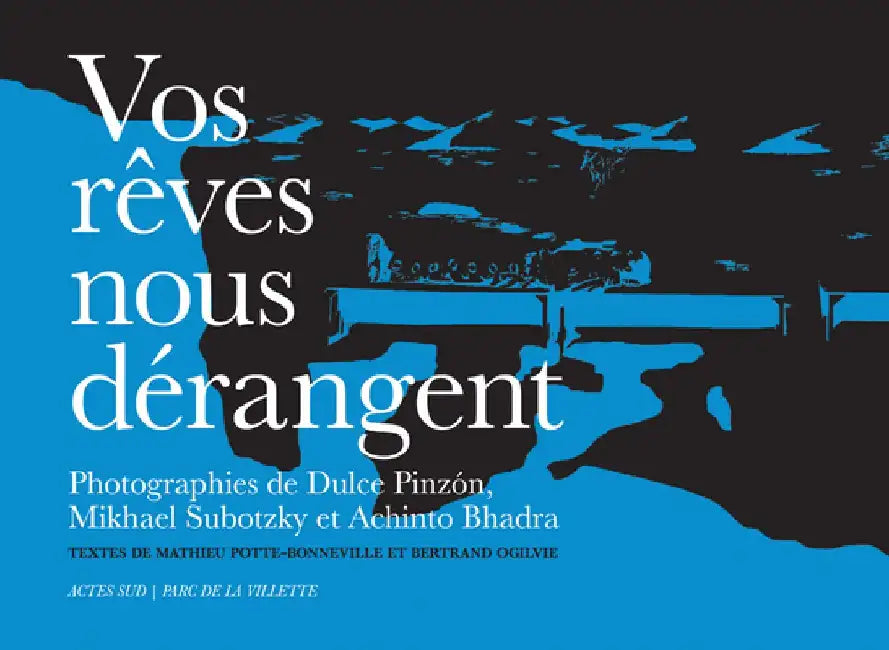 Vos Rêves Nous Dérangent by Dulce Pinzón