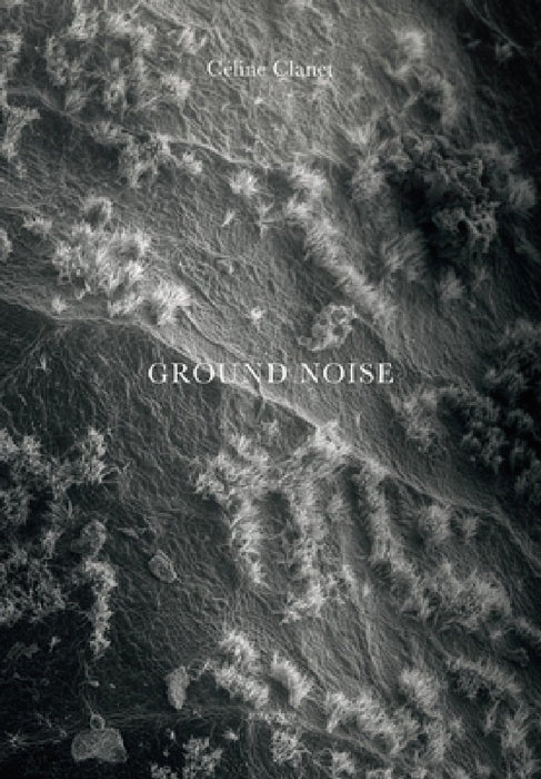 Céline Clanet: Ground Noise