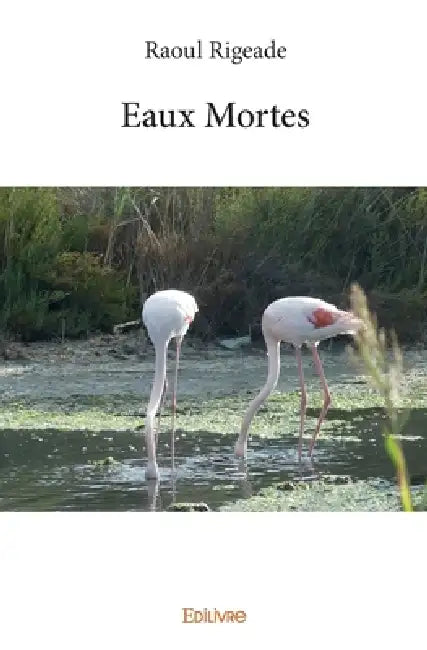 Eaux Mortes by Raoul Rigeade