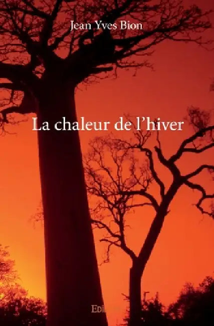 La chaleur de l'hiver by Jean Yves Bion