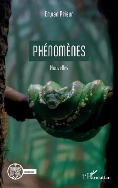 Phénomènes by Erwan Prieur