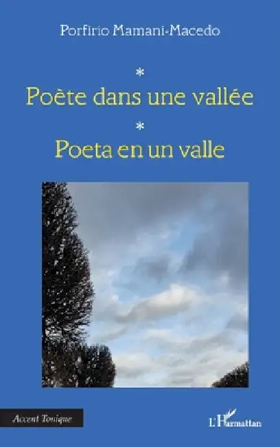 Poète dans une vallée: Poeta en un valle by Porfirio Mamani-Macedo