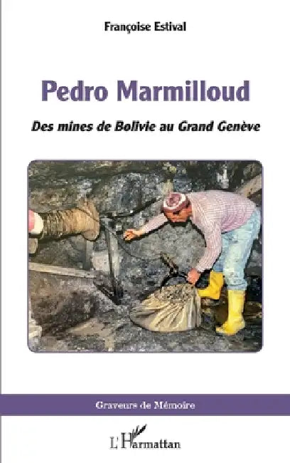 Pedro Marmilloud: Des mines de Bolivie au Grand Genève by Françoise Estival