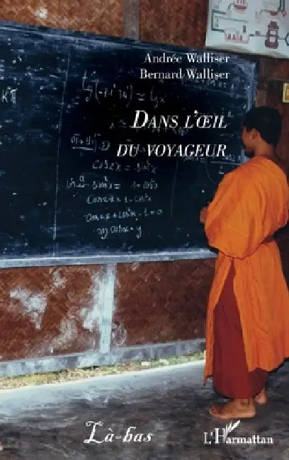Dans l'oeil du voyageur by Bernard Walliser, Andrée Walliser