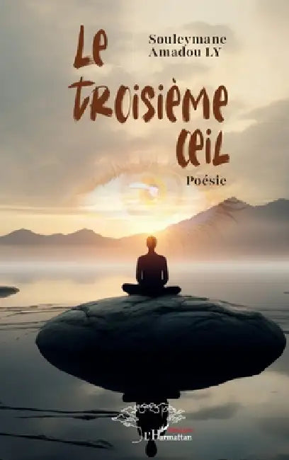 Le troisième oeil: Poésie by Souleymane Amadou Ly