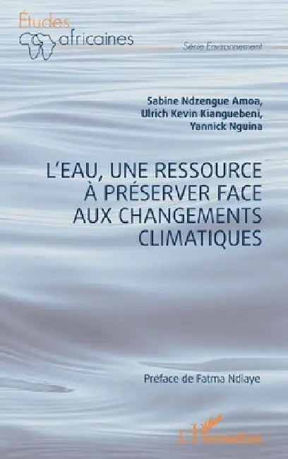 L'eau, une ressource à préserver face aux changements climatiques by Sabine Ndzengue Amoa, Ulrich Kevin Kianguebeni, Yannick Nguina