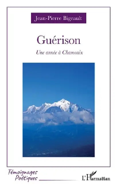 Guérison: Une année à Chamonix by Jean-Pierre Bigeault