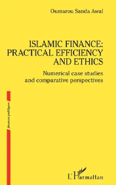 Islamic finance: practical efficiency and ethics: Numerical case studies and comparative perspectives by Oumarou Sanda Awal