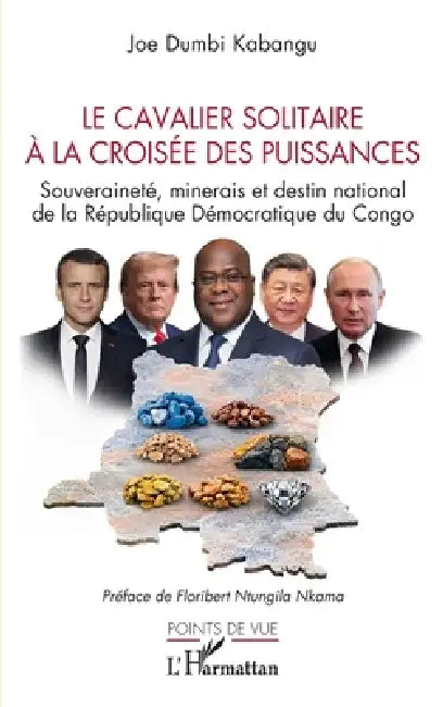 Le cavalier solitaire à la croisée des puissances: Souveraineté, minerais et destin national de la République Démocratique du Congo by Joe Dumbi Kabangu, Floribert Ntungila Nkama