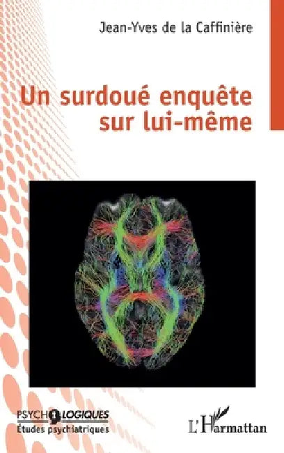 Un surdoué enquête sur lui-même by Jean-Yves de la Caffinière