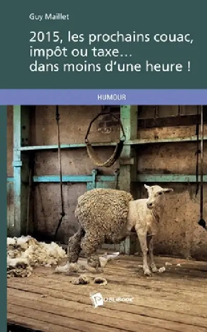 2015, les prochains couac, impôt ou taxe... dans moins d'une heure ! by Guy Maillet