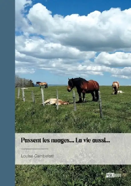 Passent les nuages... la vie aussi... by Louise Cambefort