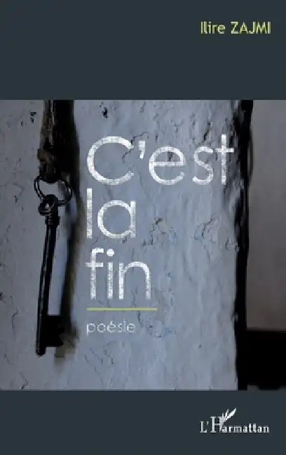 C'est la fin by Ilire Zajmi