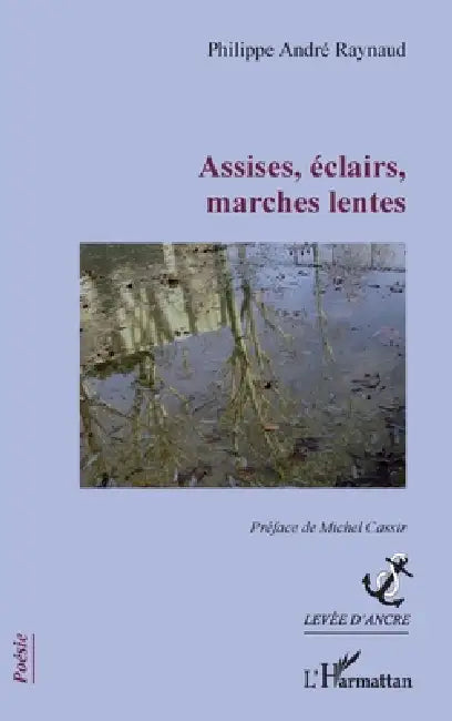 Assises, éclairs, marches lentes by Philippe André Raynaud