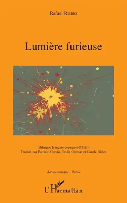 Lumière furieuse: Bilingue français-espagnol (Chili) by Rafael Rubio
