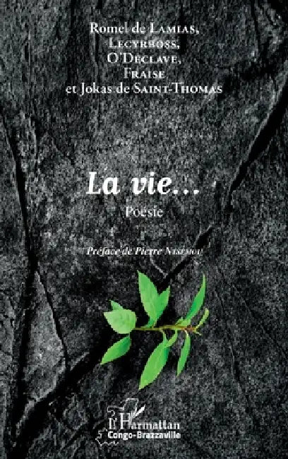 La vie ... by Rolland Armel Miassouamana