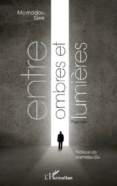 Entre ombres et lumières by Mamadou Gaye