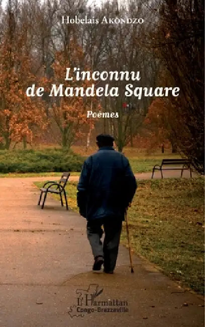 L'inconnu de Mandela Square by Akondzo Hobelais