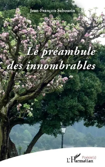 Préambule des innomables by Sabourin Jean-Francois