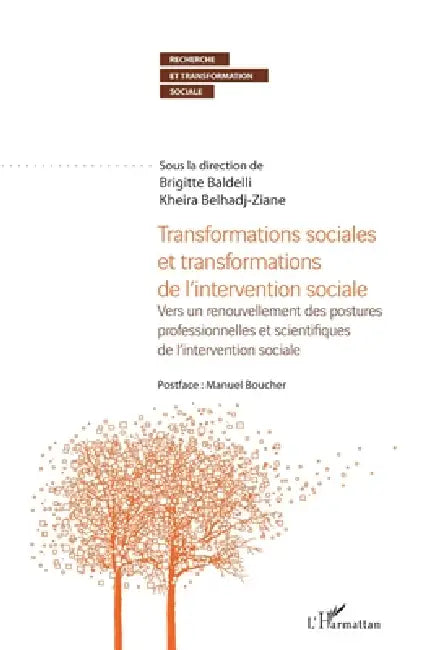 Transformations sociales et transformations de l'intervention sociale: Vers un renouvellement des postures professionnelles et scientifiques de l'inte by Brigitte Baldelli, Kheira Belhadj-Ziane