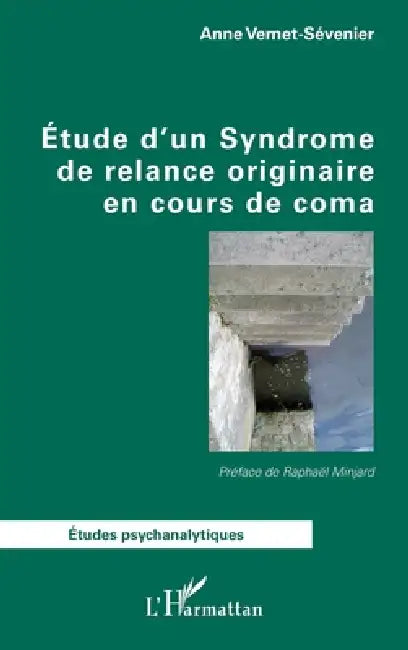Étude d'un Syndrome de relance originaire en cours de coma by Anne Vernet-Sevenier