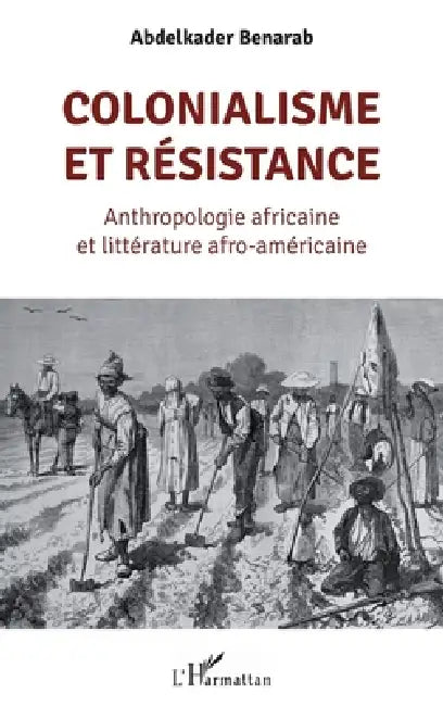 Colonialisme et résistance: Anthropologie africaine et littérature afro-américaine by Abdelkader Benarab