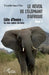 Le réveil de l'éléphant d'Afrique (Tome 1): Côte d'Ivoire: des élans maintes fois brisés by Ahoua n'Doli Theophile