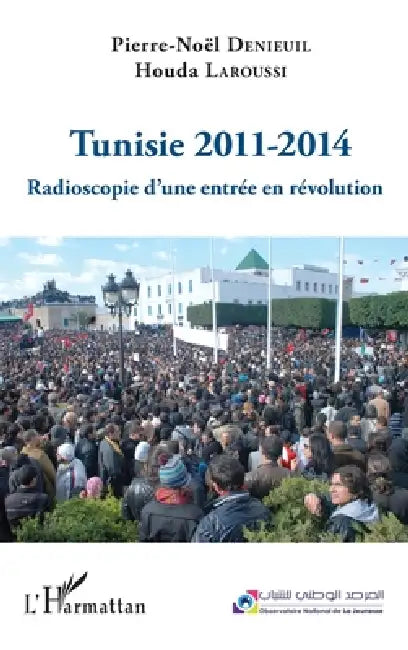 Tunisie 2011-2014: Radioscopie d'une entrée en révolution by Pierre-Noël Denieuil, Houda Laroussi
