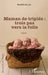 Maman de triplés: trois pas vers la folie by Allein Aurelie