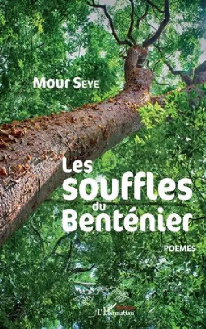 Les souffles du Benténier by Mour Seye