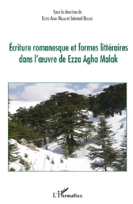 Ecriture romanesque et formes littéraires dans l'oeuvre de Ezza Agha Malak by Ezza Agha Malak