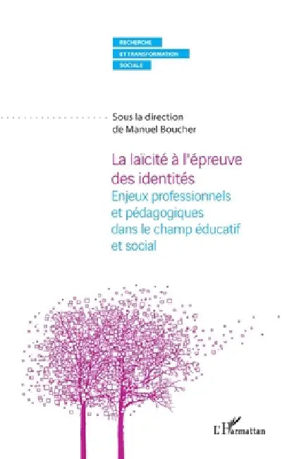 La laïcité à l'épreuve des identités: Enjeux professionnels et pédagogiques dans le champ éducatif et social by Manuel Boucher
