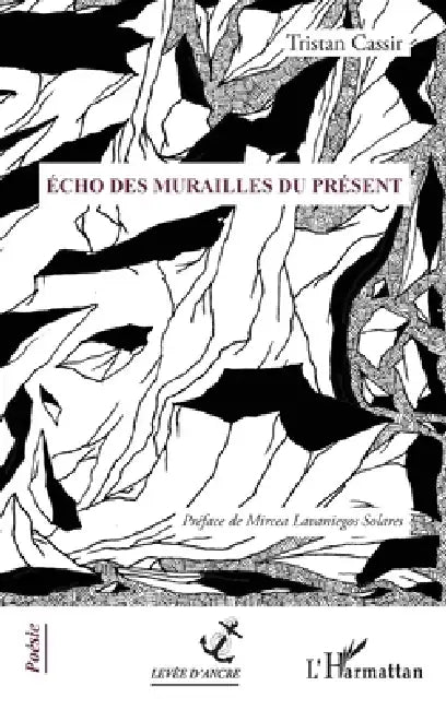Écho des murailles du présent by Cassir Tristan