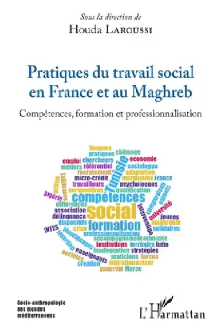 Pratiques du travail social en France et au Maghreb: Compétences, formation et professionnalisation by Houda Laroussi