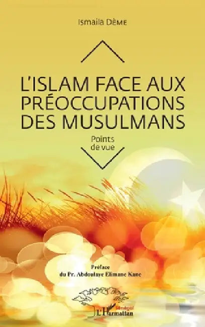 L'Islam face aux préoccupations des musulmans: Points de vue by Deme Ismaila