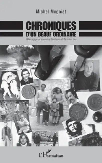 Chroniques d'un beauf ordinaire: Télescopage de souvenirs d'enfrance et de moins loin by Mogniat Michel