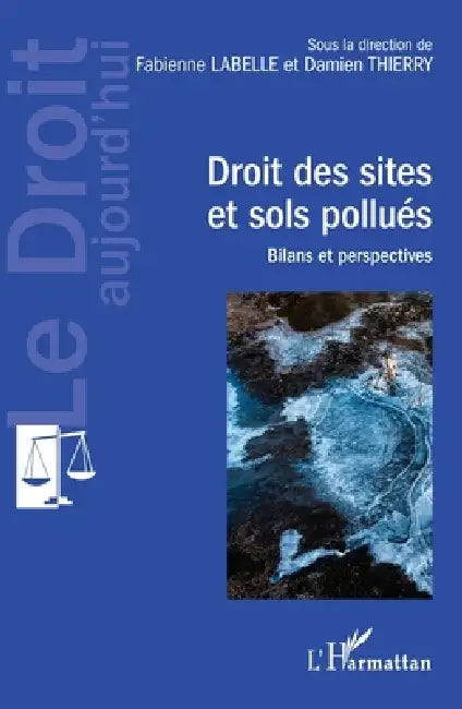 Droit des sites et sols pollués: Bilans et perspectives by Institut de Recherche Juridique Inter