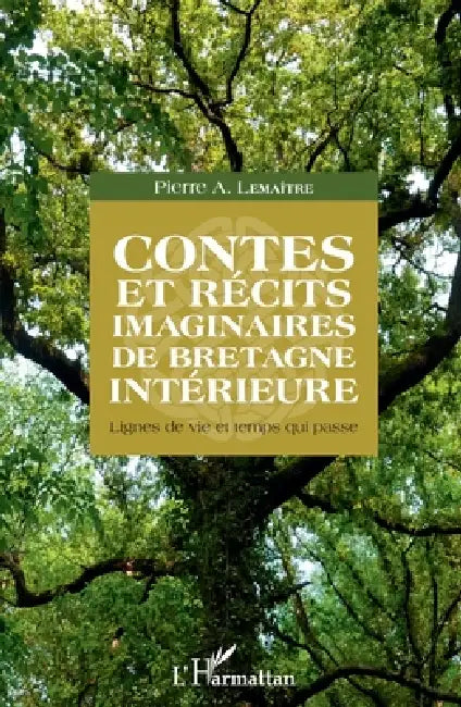 Contes et récits imaginaires de Bretagne intérieure: Lignes de vie et temps qui passe by Pierre Alain Lemaître