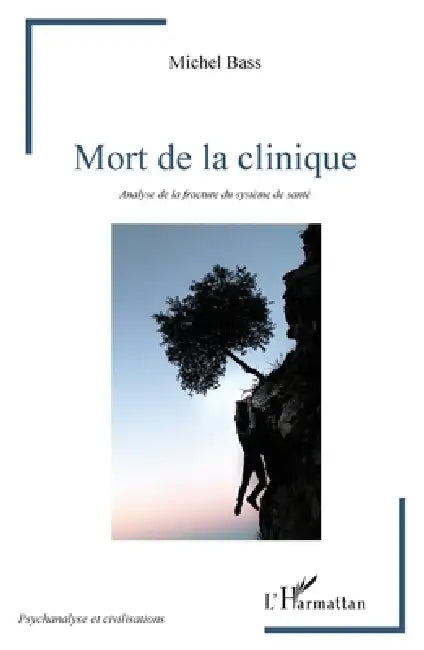 Mort de la clinique: Analyse de la fracture du système de santé by Michel Bass