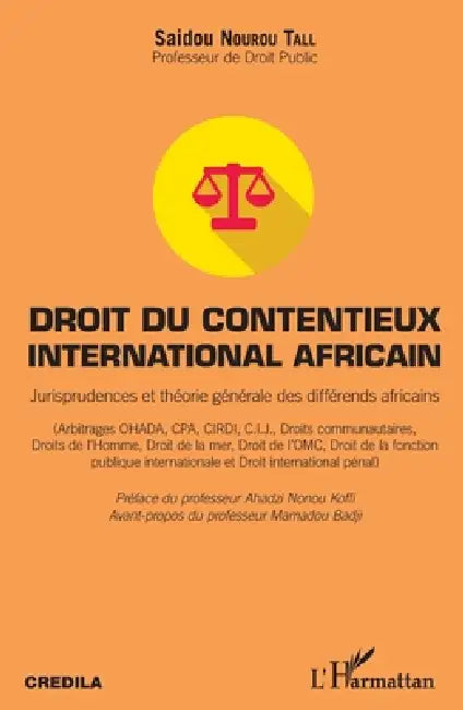 Droit du contentieux international africain: Jurisprudences et théorie générale des différends africains by Nourou Tall Saidou