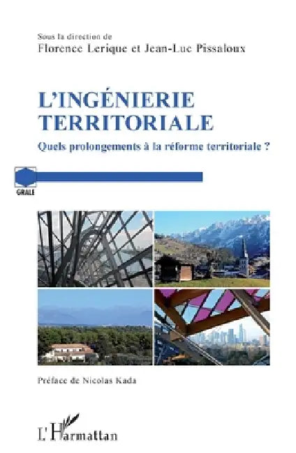 L'ingénierie territoriale: Quels prolongements à la réforme territoriale ? by Jean-Luc Pissaloux, Florence Lerique