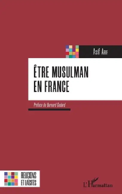 Etre musulman en France by Asif Arif