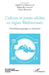 Cultures et jeunes adultes en région Méditerranée: Circulations, pratiques et soft power by Majdouli Zineb, Benchenna Abdel, Bourdeloie Helene