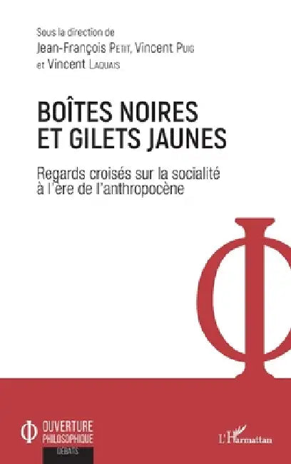 Boîtes noires et gilets jaunes: Regards croisés sur la socialité à l'ère de l'anthropocène by Jean-François Petit, Puig Vincent, Vincent Laquais
