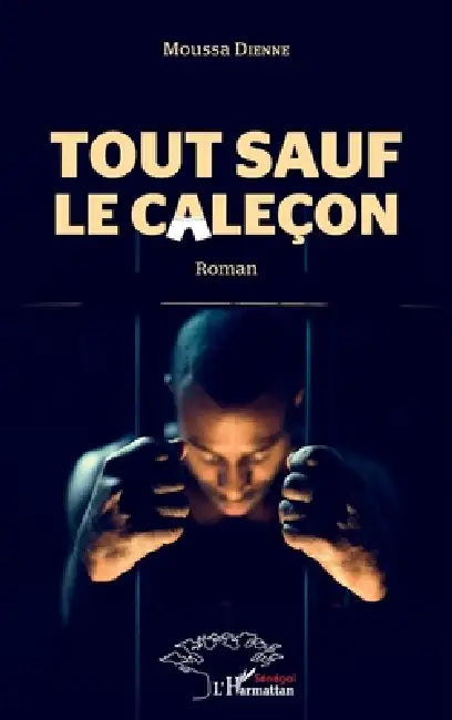 Tout Sauf Le Caleçon by Moussa Dienne